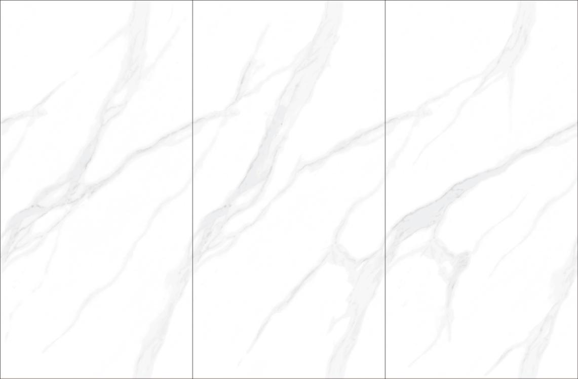 圖片28.png 圖片28.png